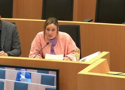 Lieve Truyman in commissie